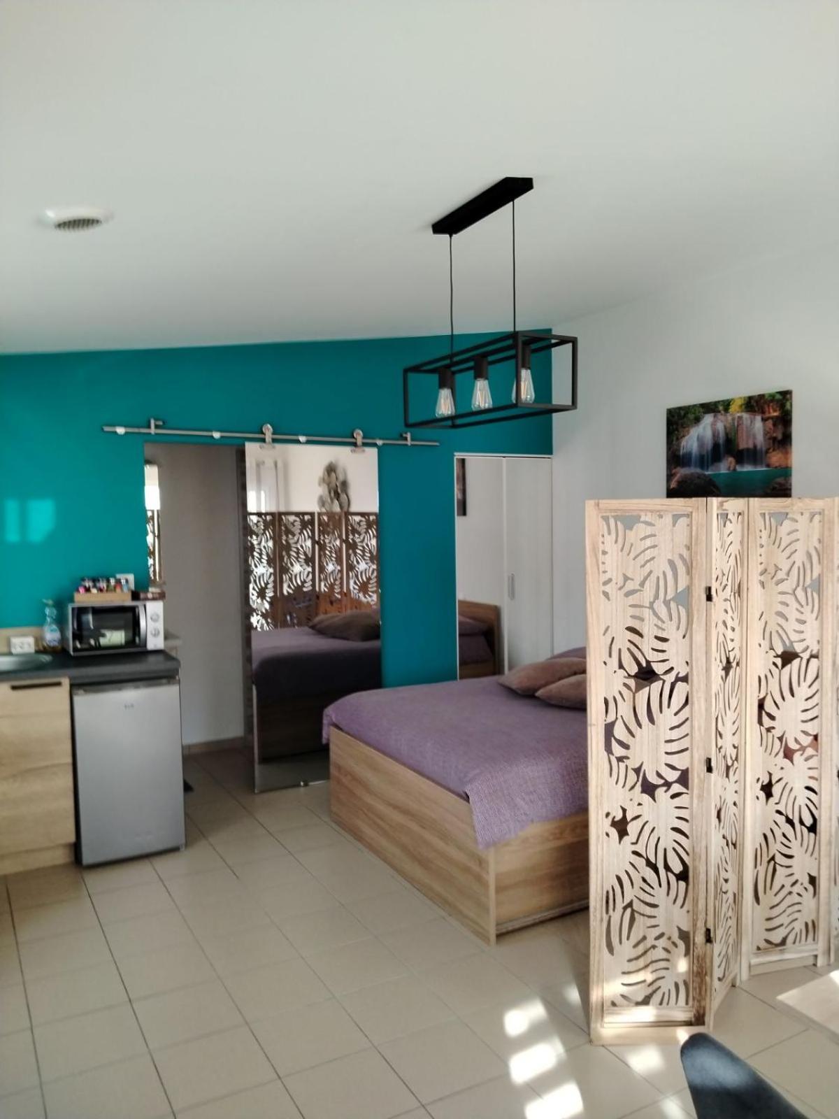 La Pepite De L'ocean Apartment *